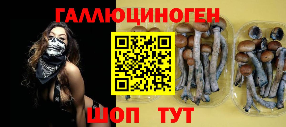 Галлюциногенные грибы Psilocybe Губкин