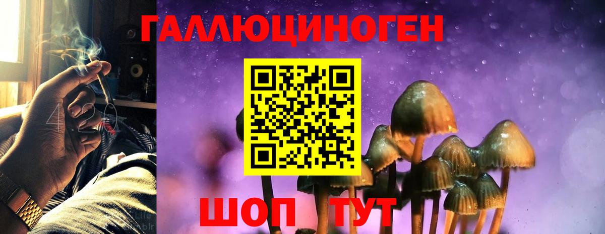 Галлюциногенные грибы мицелий  Галлюциногенные грибы мухоморы  Губкин  Вход с VPN 